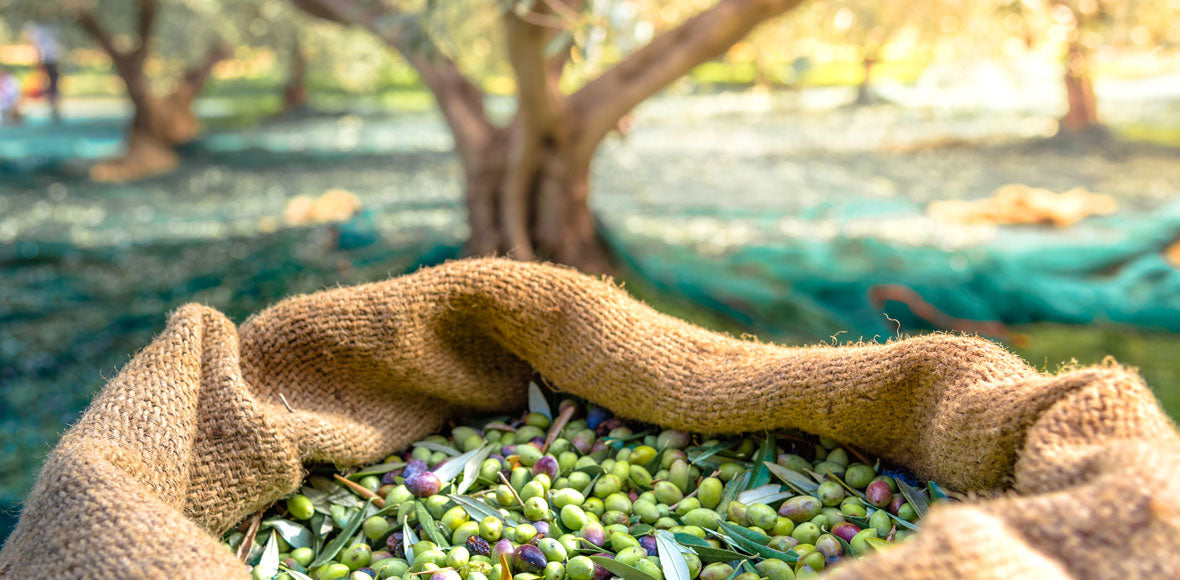 Welcome to Pleasant Valley Farms