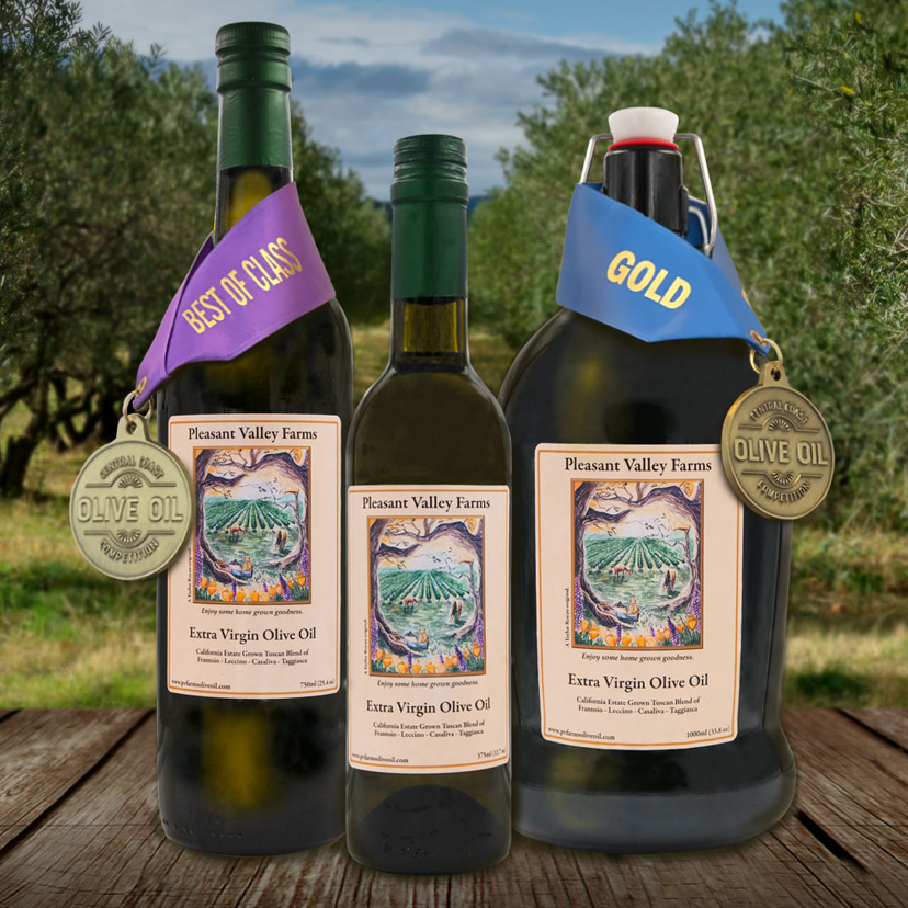 Y.S. OLIVE TREES PARADISE 4/4 ビンテージ【整備品】 Pleasant Valley Farms Article in the Sentinel Newspaper - Pleasant